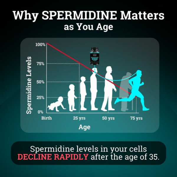 Spermidine 1440MG | 12MG per Capsule | 4 Month Supply Healthcare Natural - Image 5