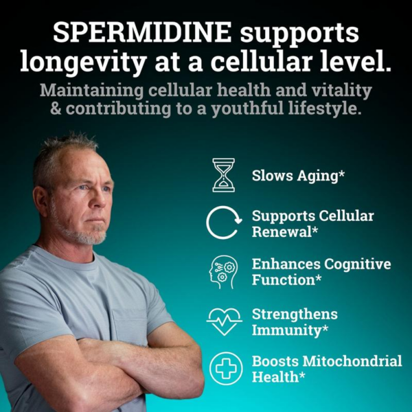 Spermidine 1440MG | 12MG per Capsule | 4 Month Supply Healthcare Natural - Image 2