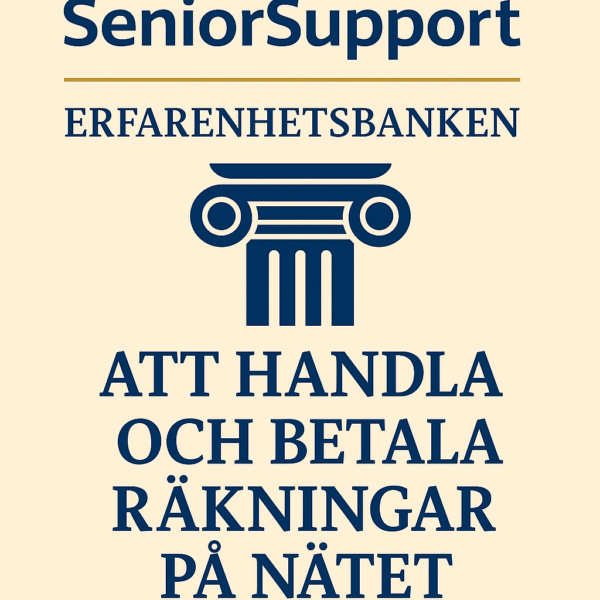 Att handla och betala räkningar på nätet